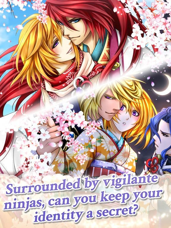 Ninja Shadow / Shall we date? screenshot 3