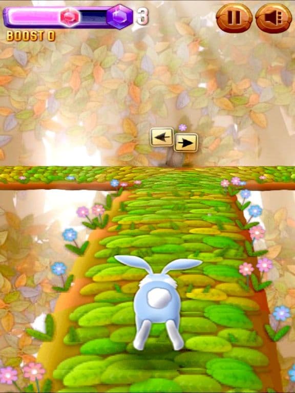 Pocket Rabbit Catch Escape Run