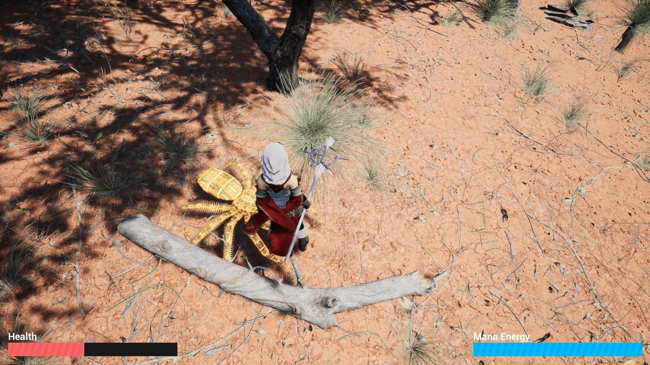 Cindys Adventures - Spiders in Australia