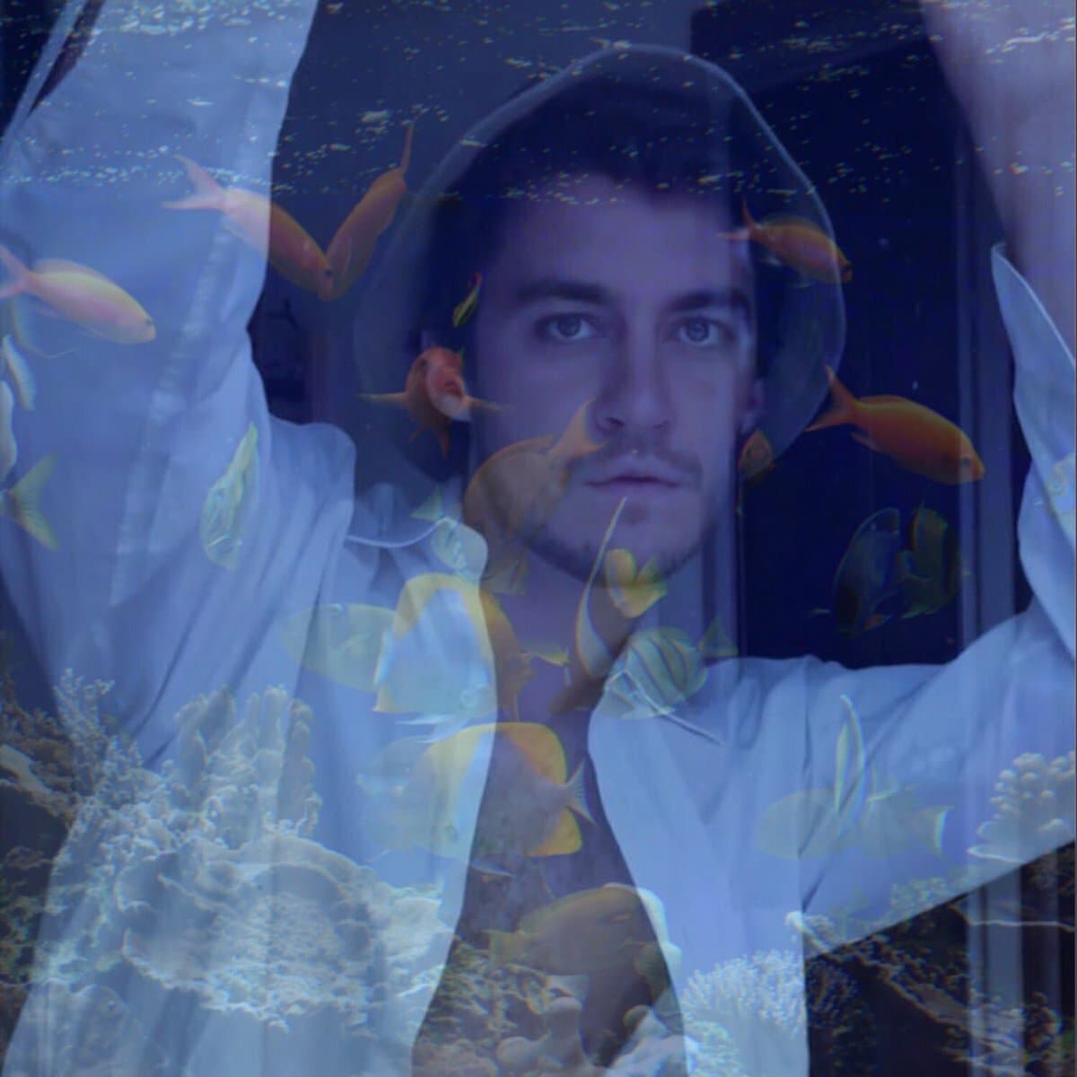 Welcome to the Aquarium