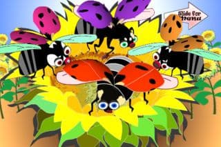 Wild Tunes Lite