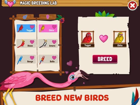 Birdland Paradise screenshot 3