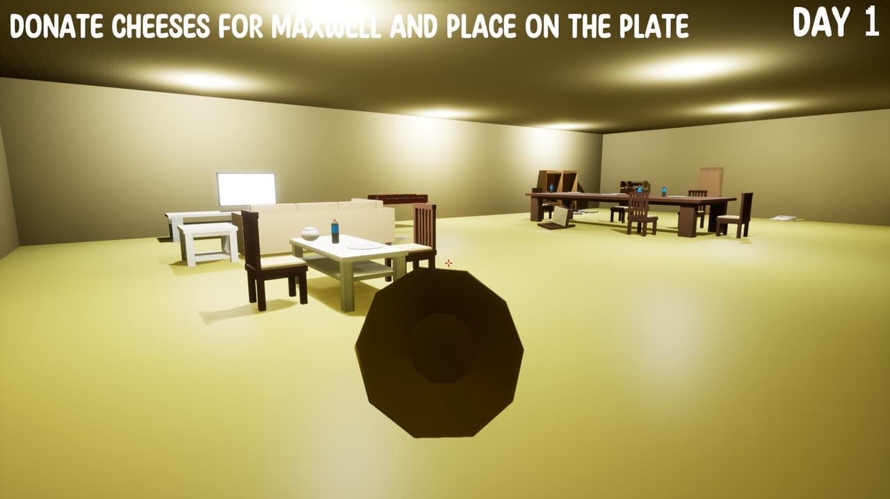 The MaxWell Demo