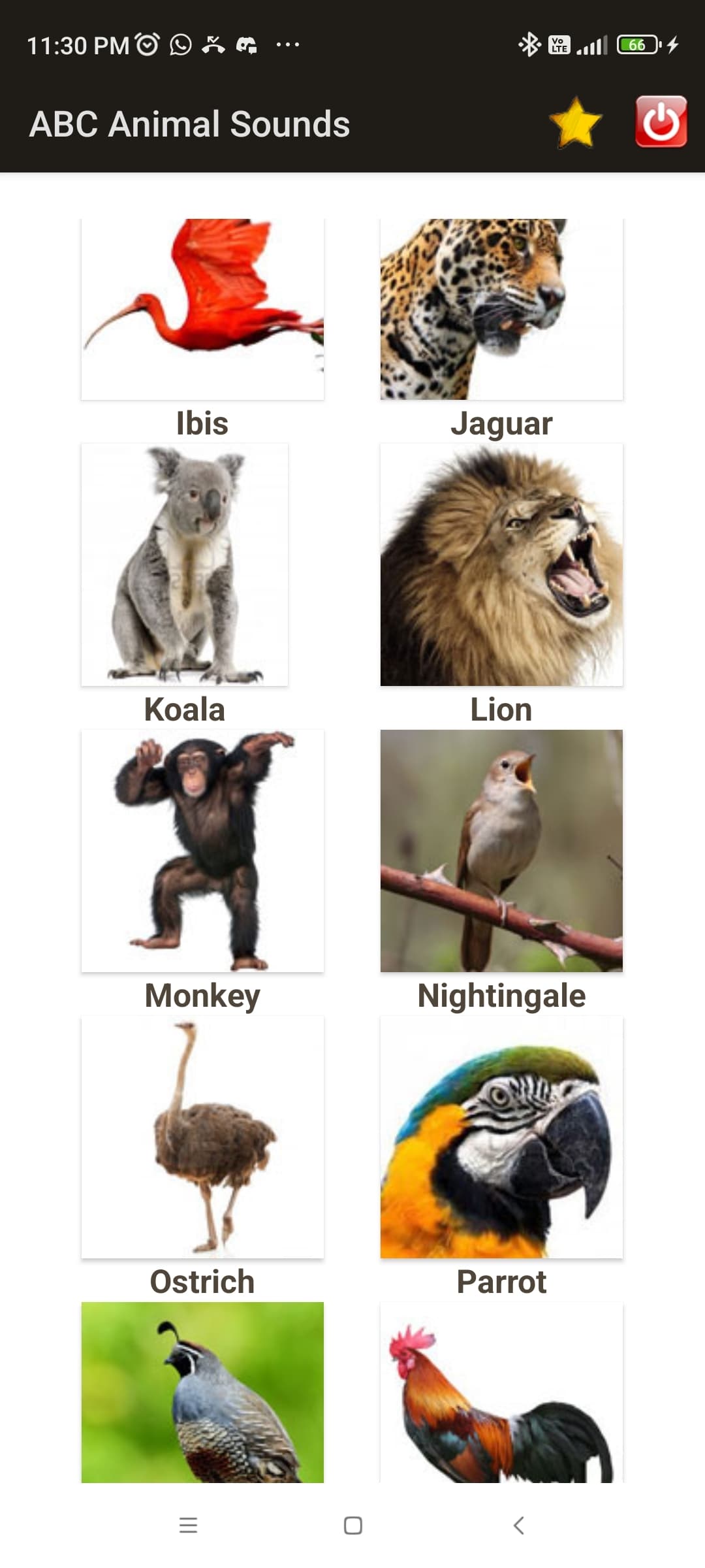 ABC Animal Sounds screenshot 4