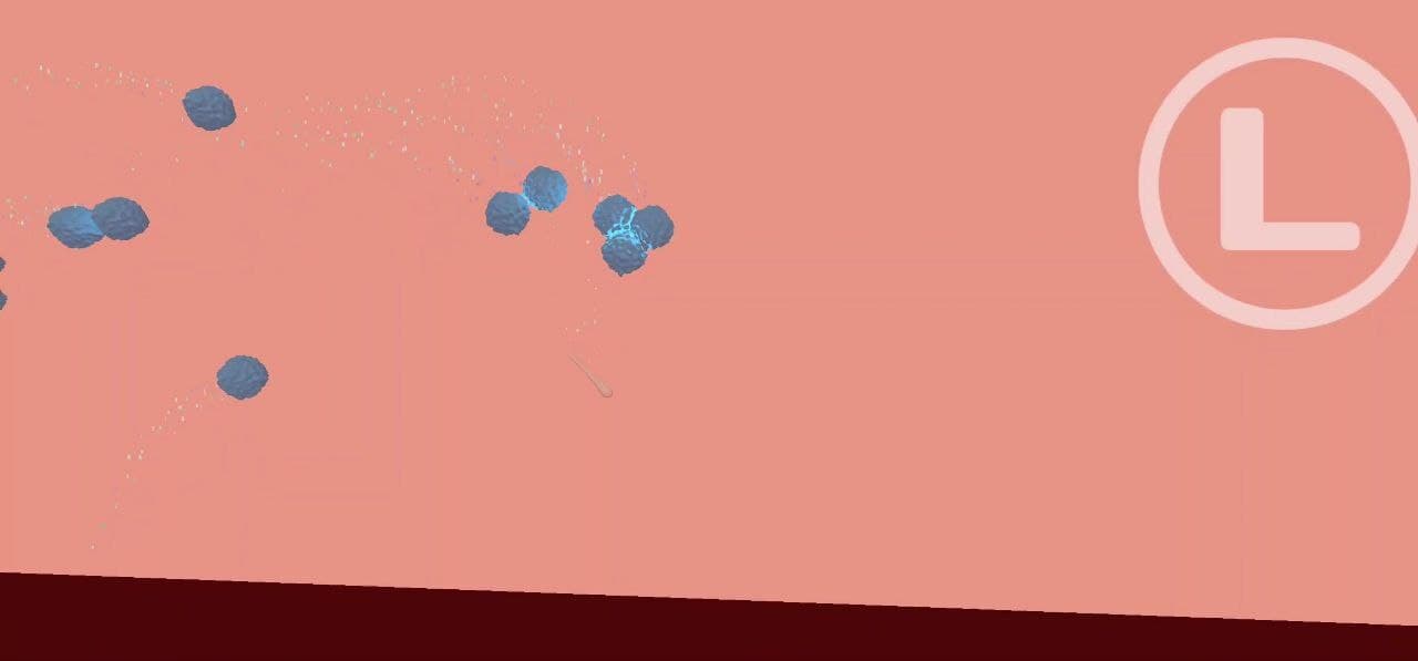 Fertilization