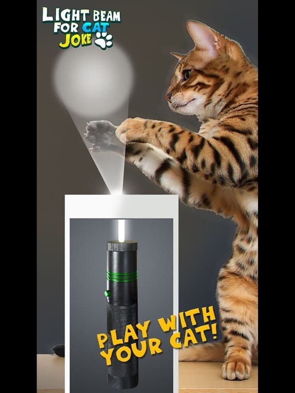 Light Beam For Cat Joke screenshot 3