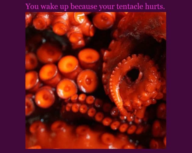 You wake up because your tentacle hurts.