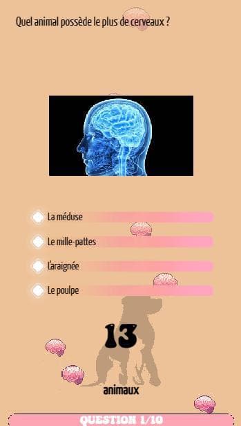CulturQuizz