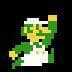 Super Luigi Bros.