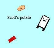 Scotts potato