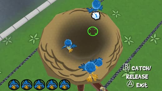 Play with Birds screenshot 3