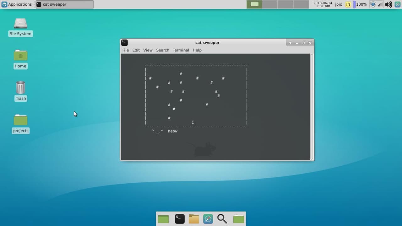 cat sweeper screenshot 4