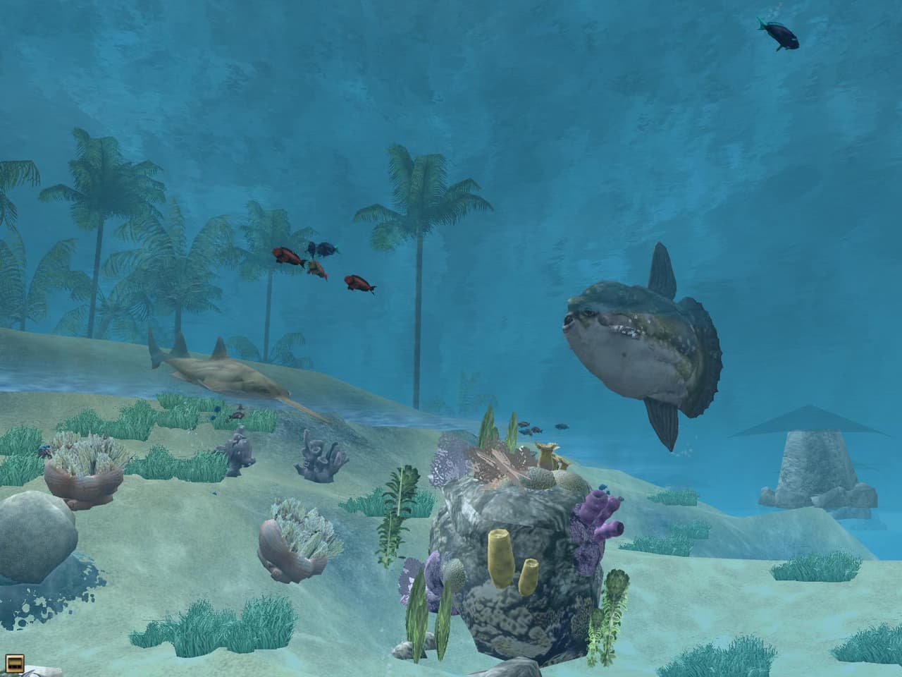 Wildlife Park 2: Marine World screenshot 2