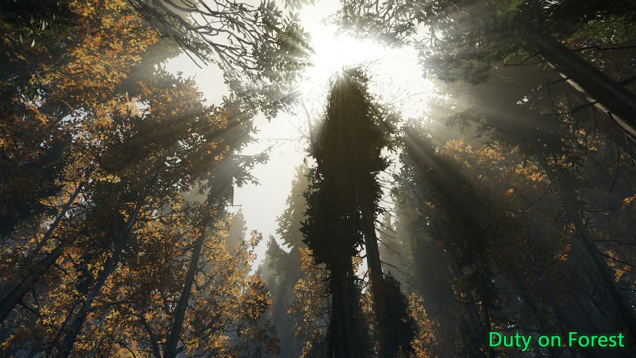 Duty on Forest