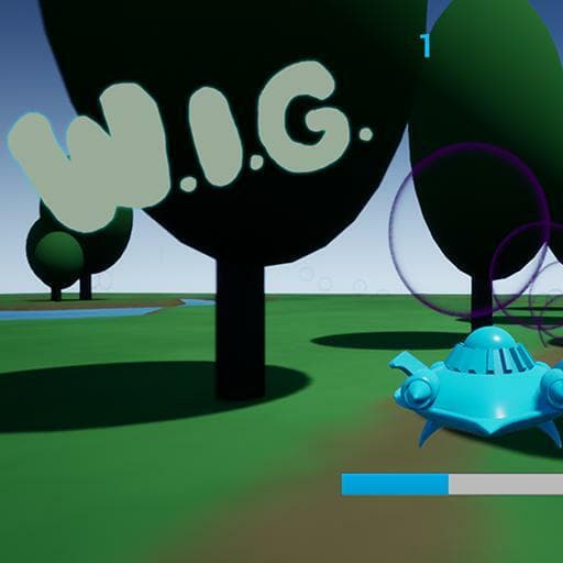W.I.G. (wing in ground)