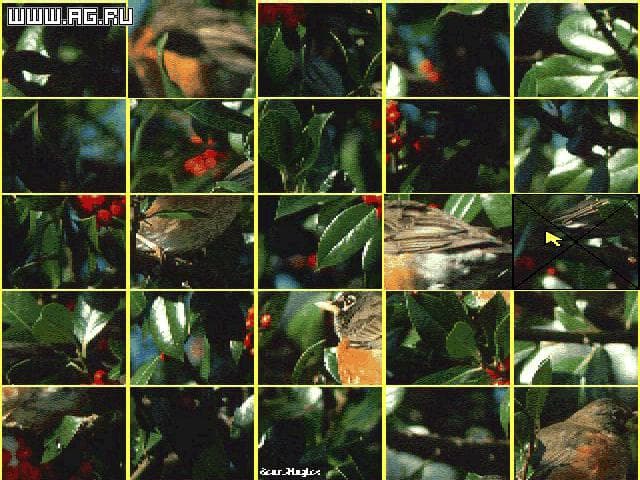 Super VGA Puzzle screenshot 3