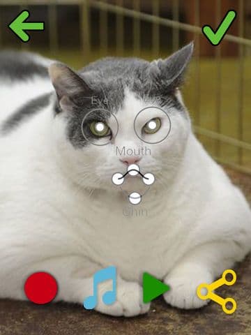 My Pet Talks! screenshot 3