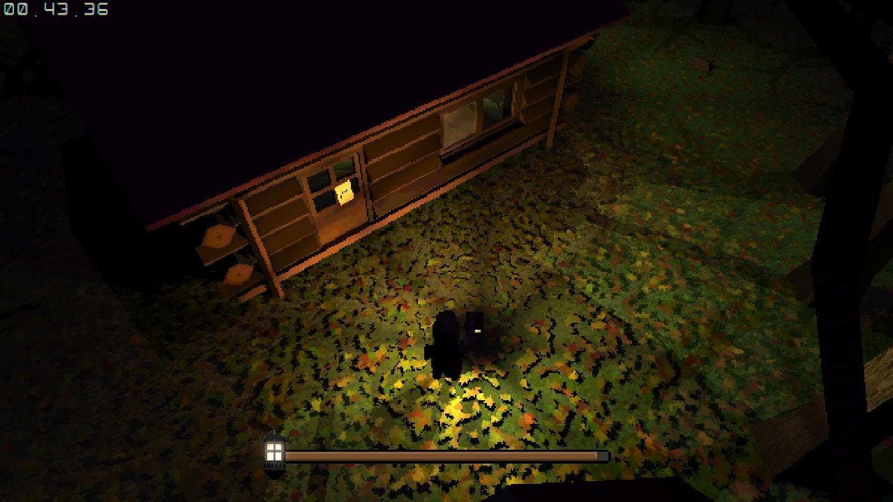 Hidden Woods