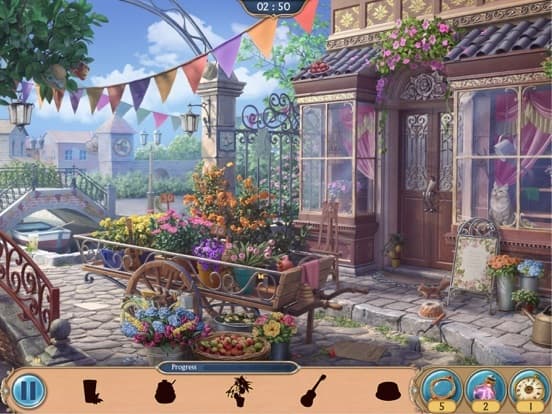 Seekers Notes: Hidden Mystery