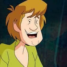 Shaggy Sharters