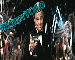 DicaprYOLO screenshot 2
