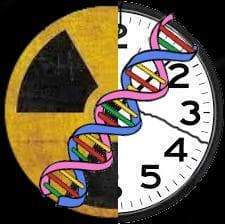 Time DNA Radiation