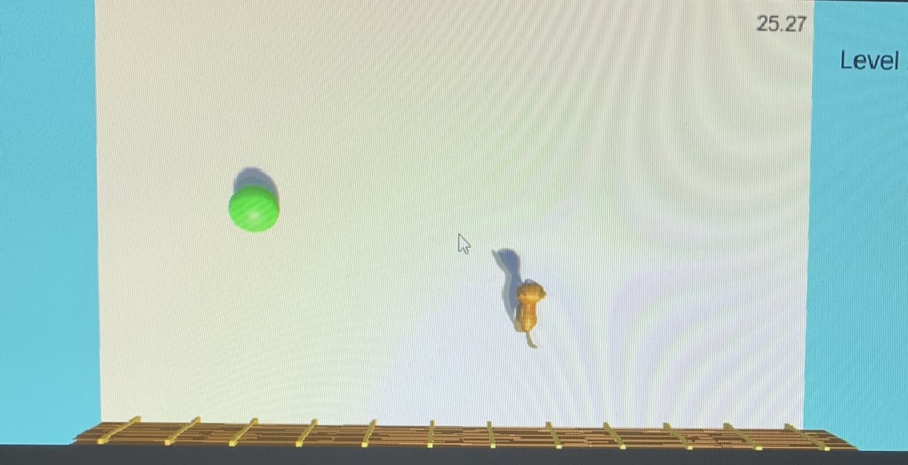 Kitty Catch