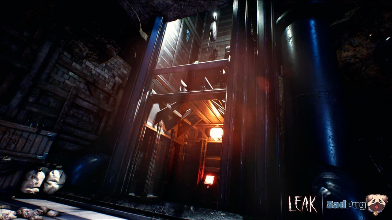Leak screenshot 2