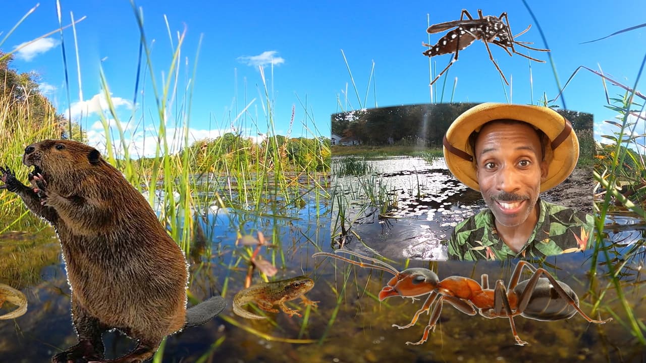 To be one - Ep.2 - VR screenshot 4