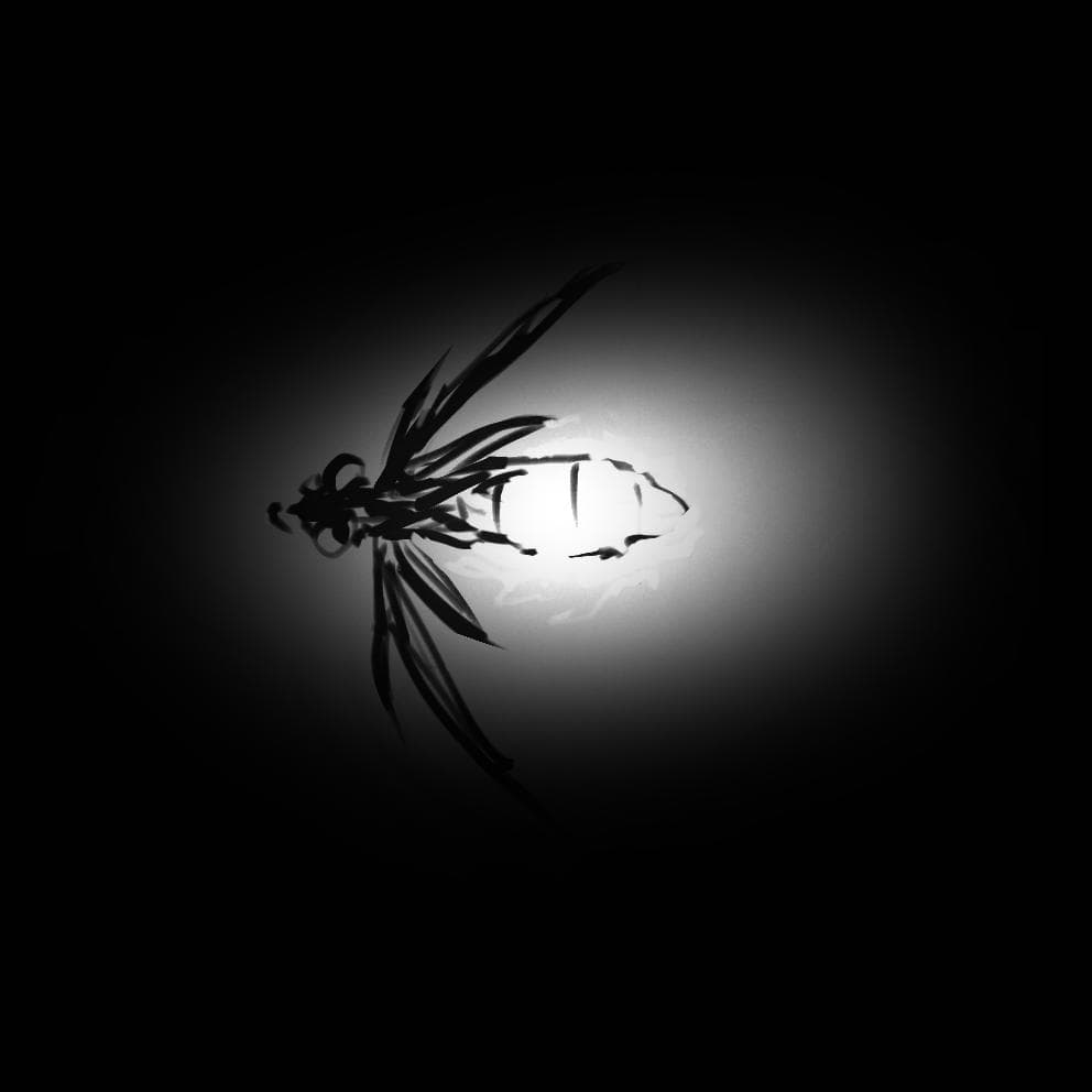 Firefly - Team Bibuli
