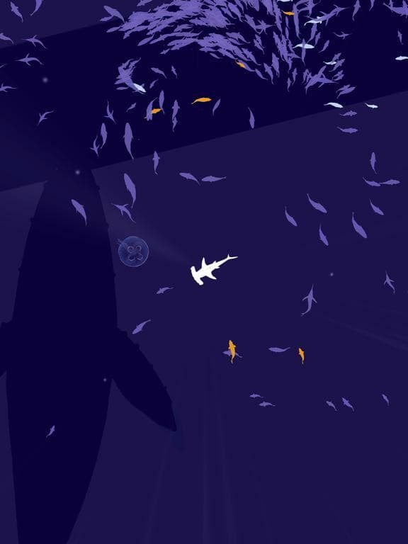 Shoal of fish screenshot 5