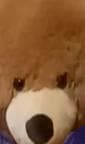 remenec cursed flappy bird