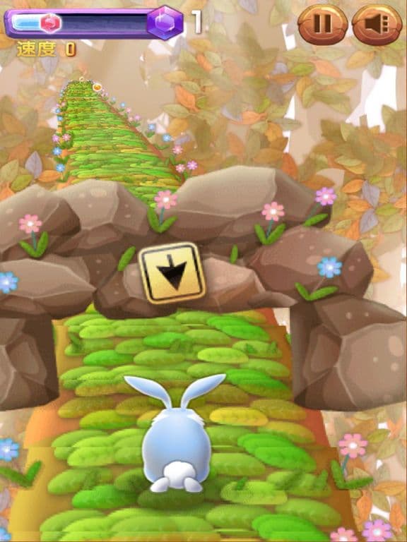 Rabbit Run Run Run! screenshot 5