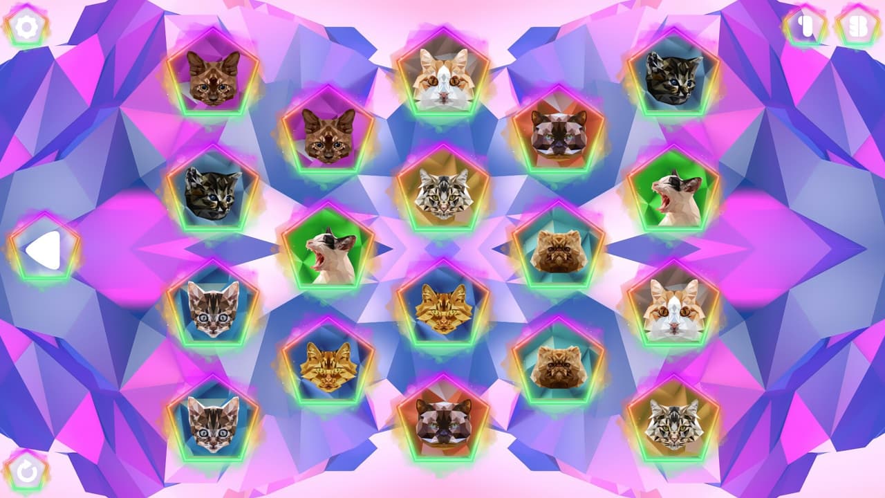 Poly Memory: Cats