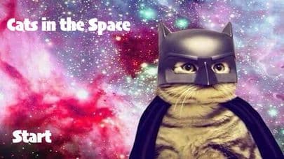 Cats in the Space screenshot 2