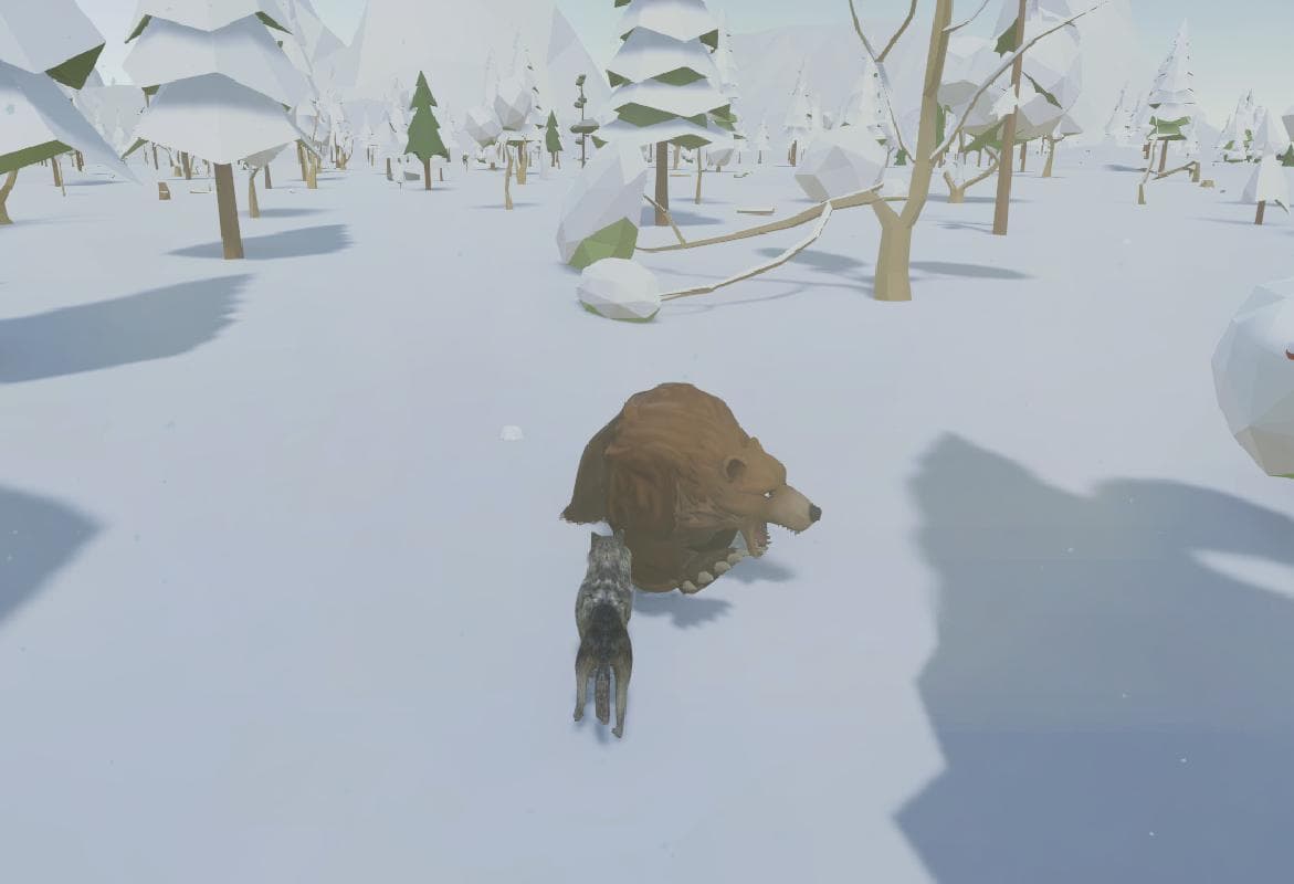 Cold Forest