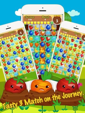 Happy Farm Country 3 Match Game screenshot 5