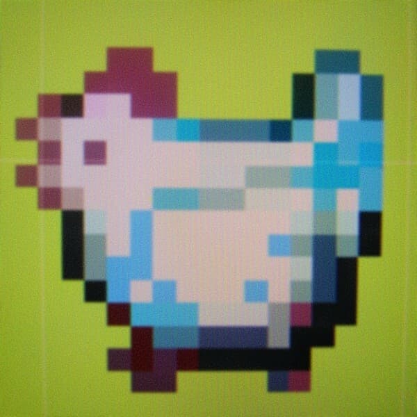 Chicken Sim