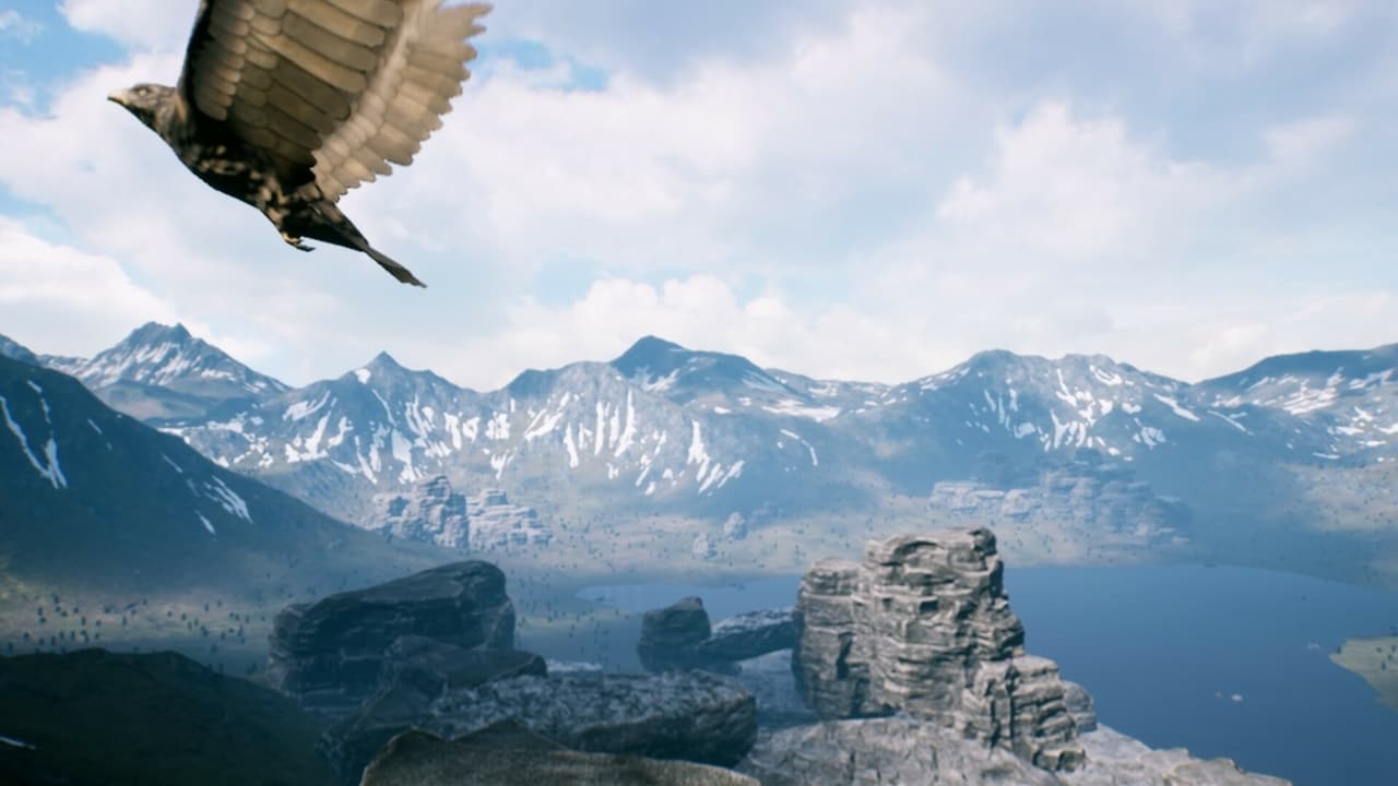 FREEDOM screenshot 4