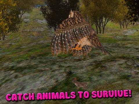Owl Bird Survival Simulator 3D Free screenshot 3