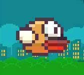 Geometry Bird