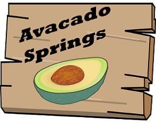 Avacado Springs Demo