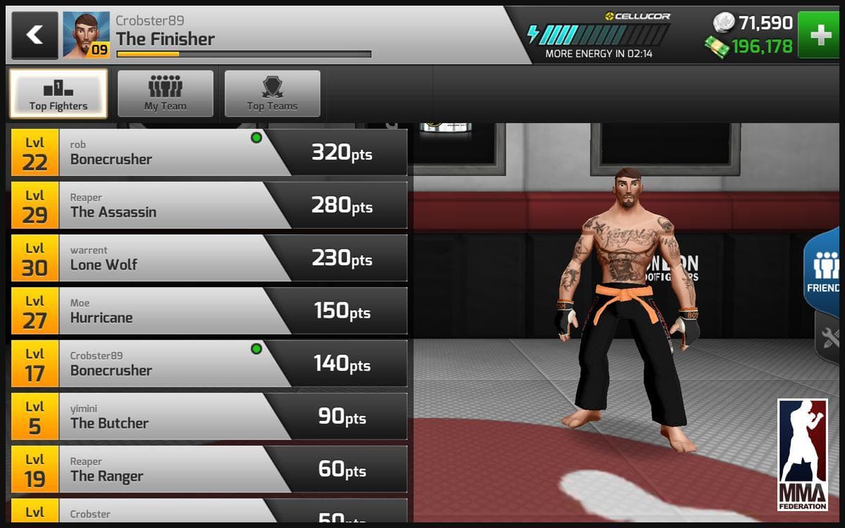 MMA Federation