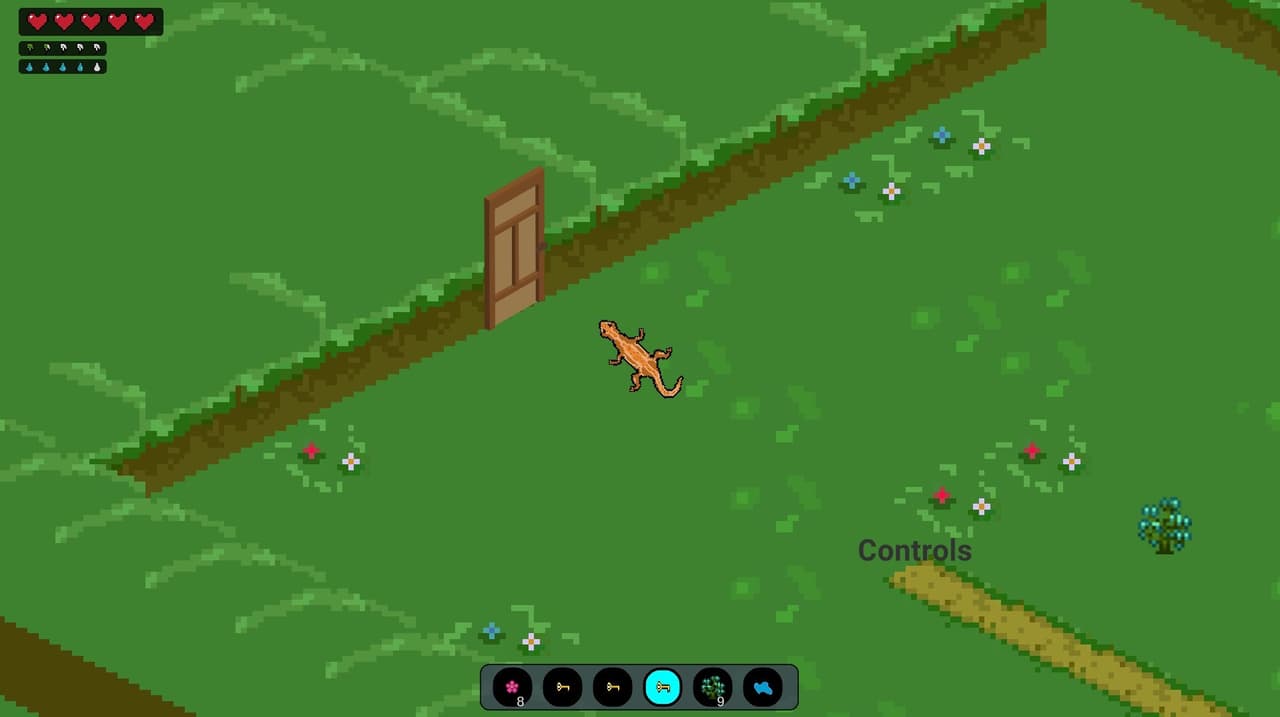 A Lizards Life