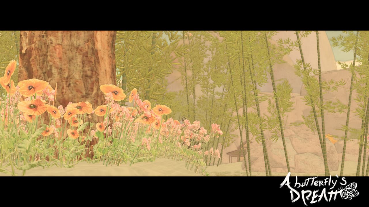 A Butterflys Dream