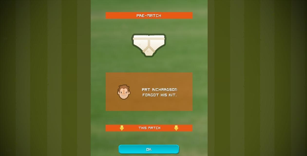 Village Cricket screenshot 4