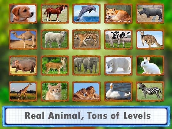 Animal Jigsaw Puzzles: puppy & cat puzzles screenshot 3
