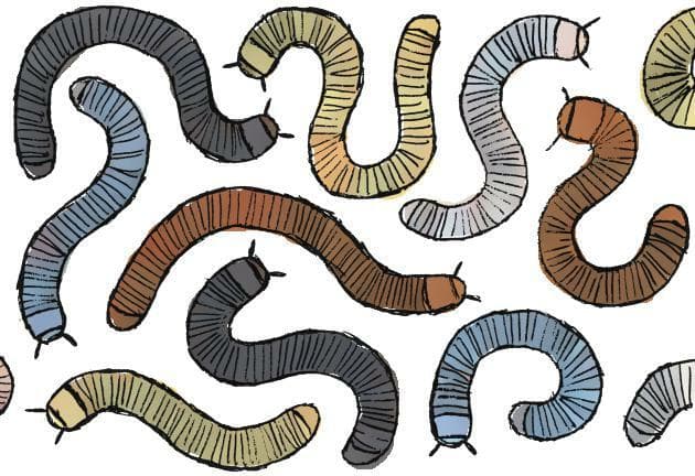 Millipedes of Fate