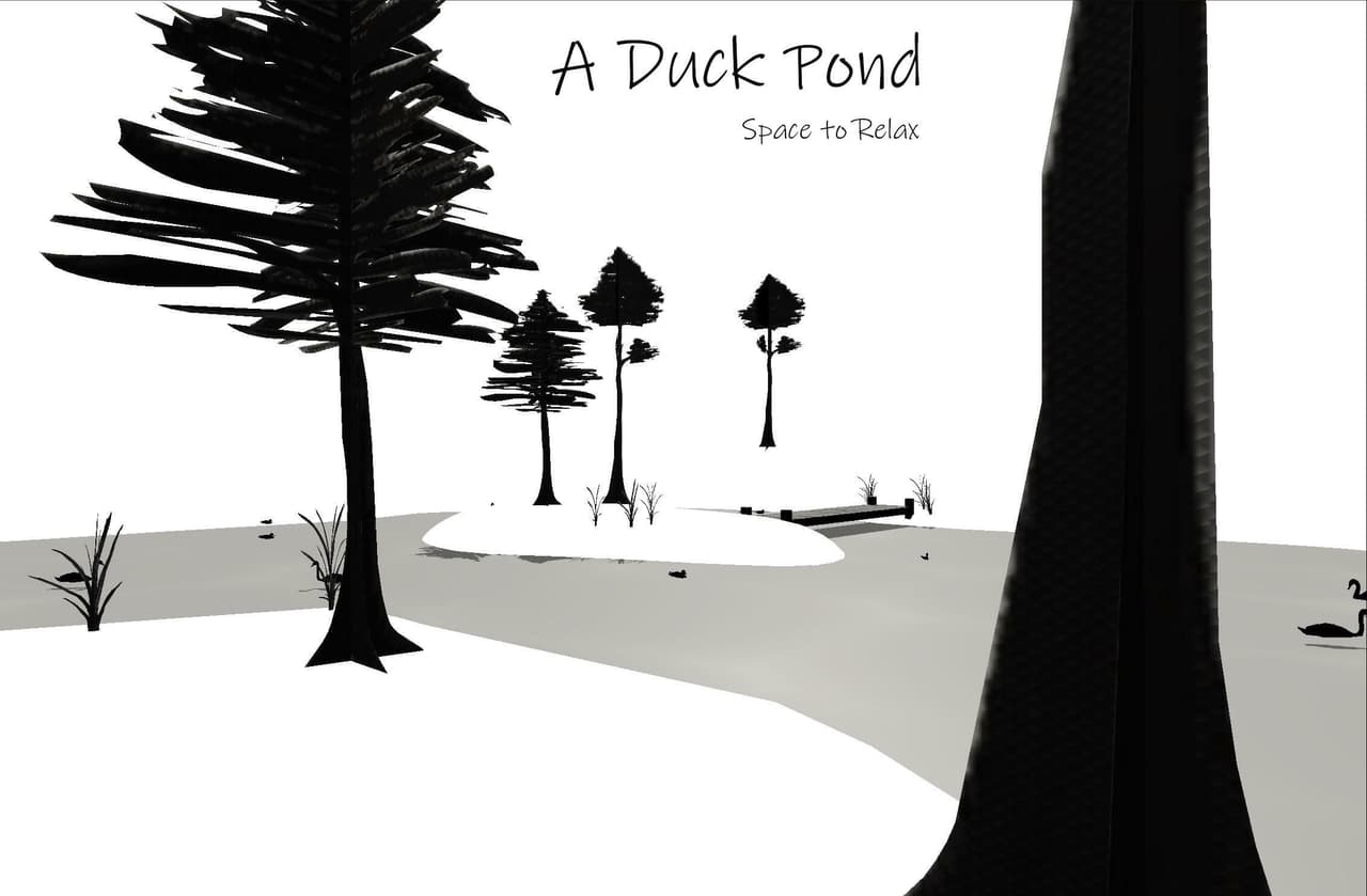 A Duck Pond