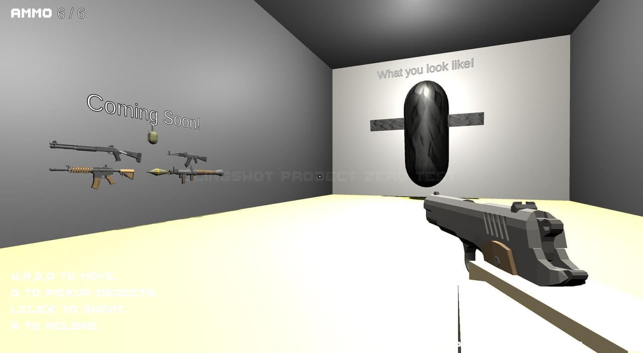 Slingshot Project Zero Test